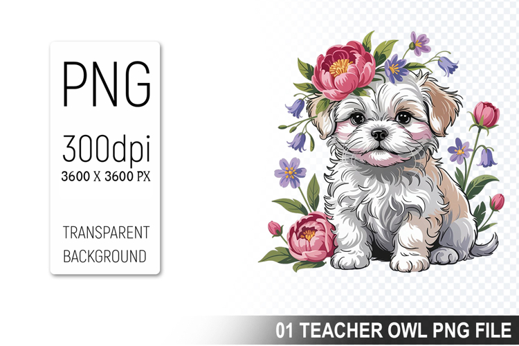 Pet Illustration Image 2