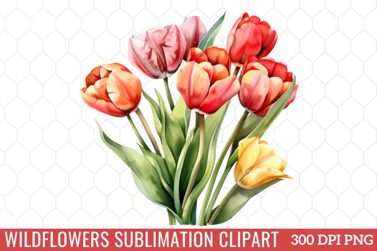 Spring Clipart Image 11