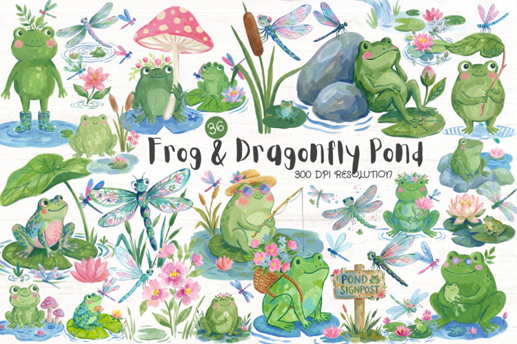 Frog Illustration Image 5