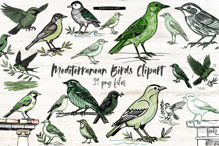 Mediterranean Birds Clipart