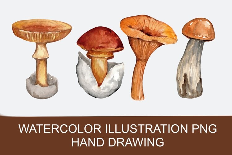 Watercolor autumn mushrooms PNG clipart, hand-drawn example image 1
