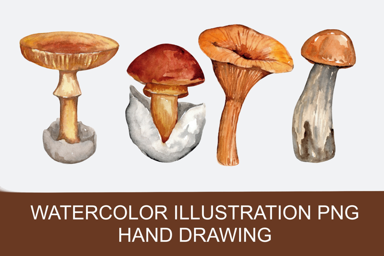 Watercolor autumn mushrooms PNG clipart, hand-drawn