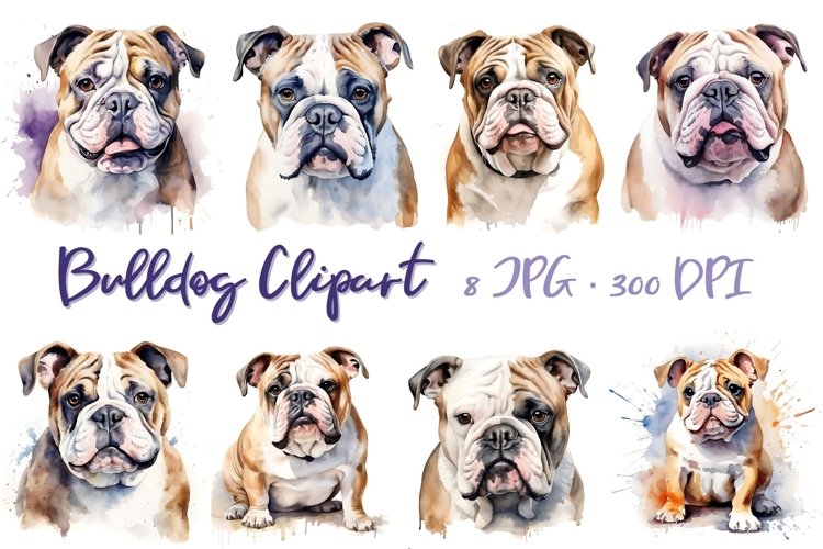 Watercolor Bulldog Clipart Set Cute Dog Illustration Bundle