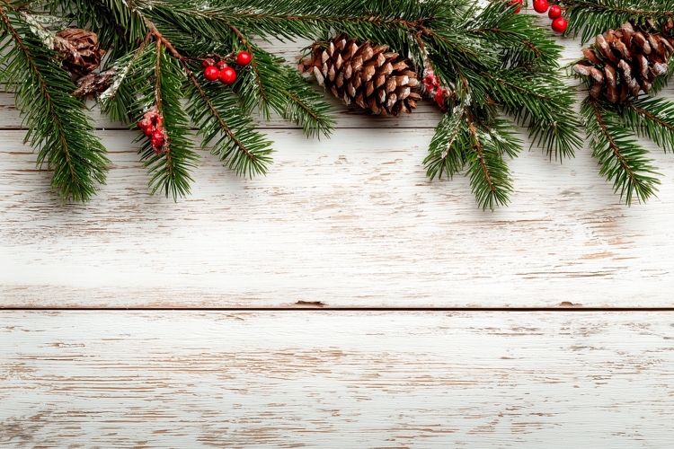 Wooden Background, Pine Cone Branch Background Design