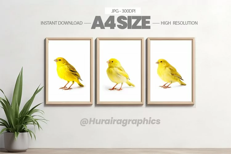 Bird Wall Art - 03 Variations