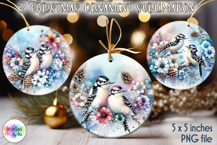 Christmas Ornaments Sublimation, Winter Bird Christmas PNG