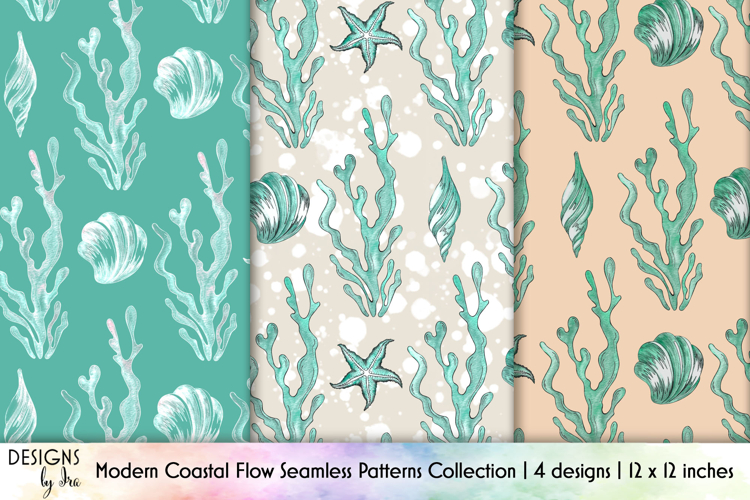 Shell Illustration Image 8