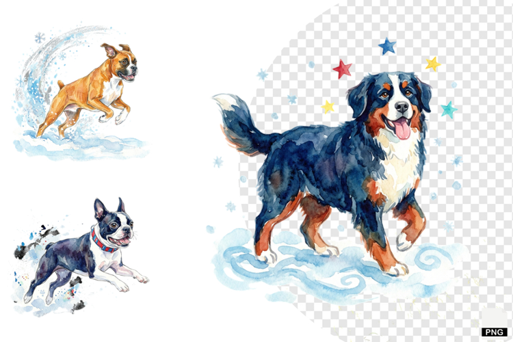 Winter Dog Playing PNG