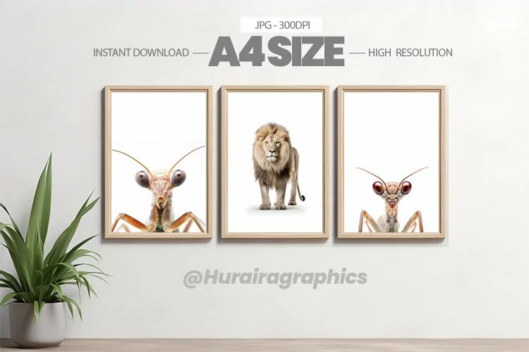 Animal Wall Art - 03 Variations
