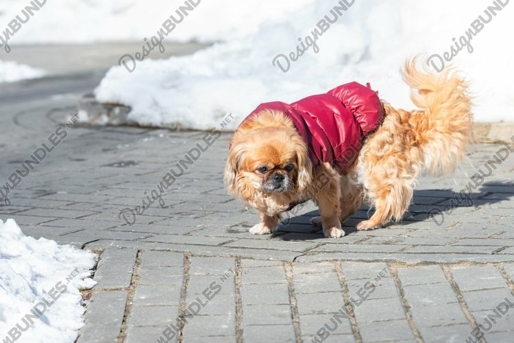 Small Winter Clipart Image 10