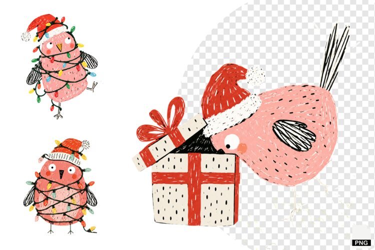 Quirky Christmas Birds PNGs example image 1