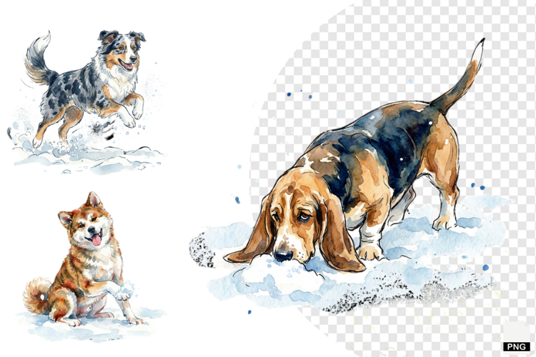Winter Dog Playing PNG