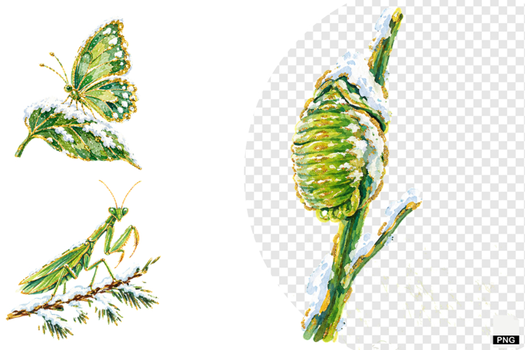 Winter Insect Garden Clipart