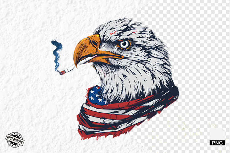 Usa PNG Image 20