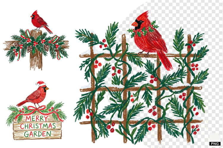 Christmas Cardinal Garden Clipart example image 1