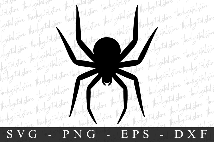 Spider Silhouette Image 8