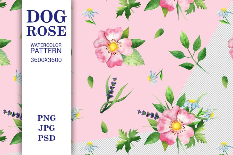 Leaf Graphic Image 5