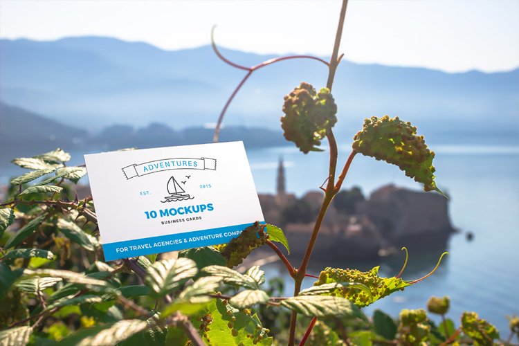 Business cards mockup 7 | Travel Mockup Collection Set 2 example image 1
