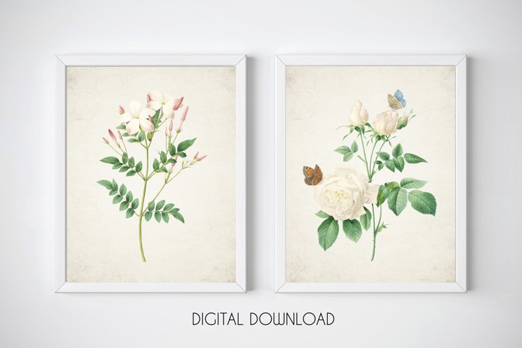 Vintage Flowers Downloads, Botanical Print Set of 2