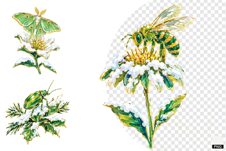 Winter Insect Garden Clipart