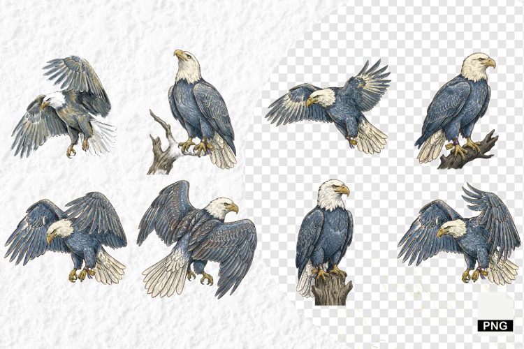 Patriotic American Eagle Clipart