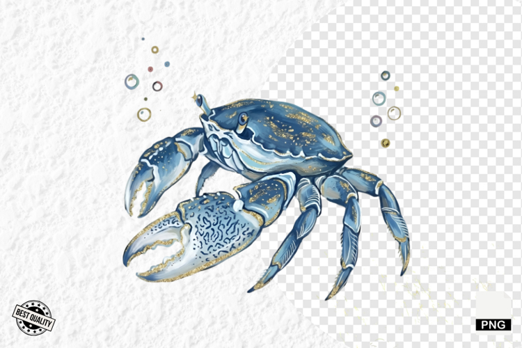 Coastal Glitter Crab PNG Clipart
