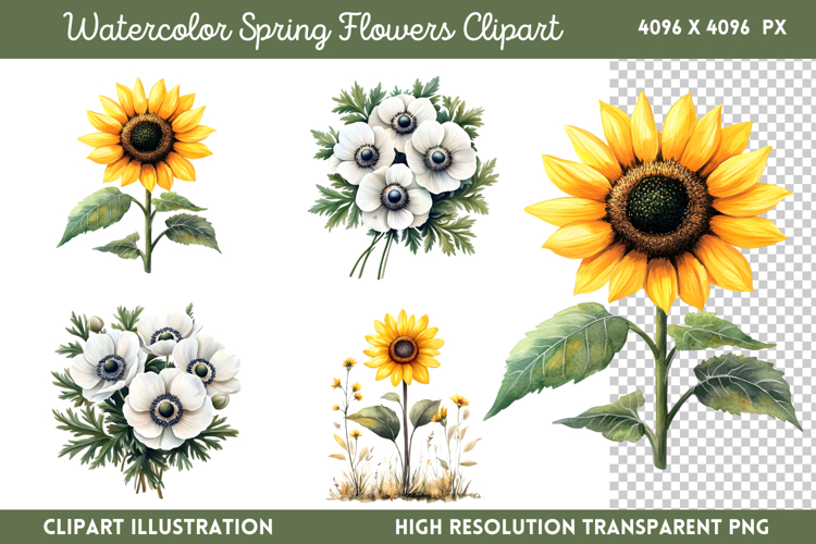 Watercolor Spring Flowers Clipart PNG