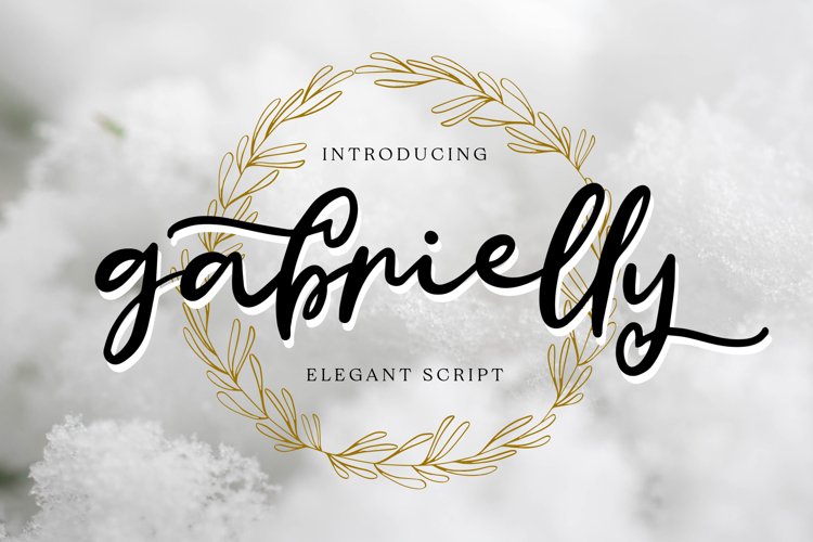 Gabrielly - Elegant Script Font example image 1