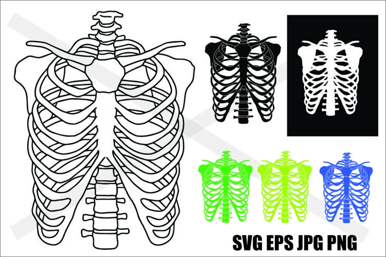 Skeleton Ribcage - SVG-EPS-JPG-PNG