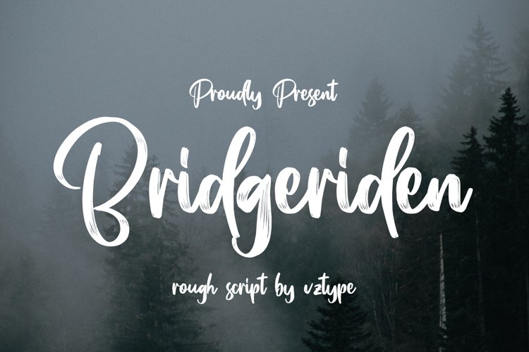 Bridgeriden example image 1