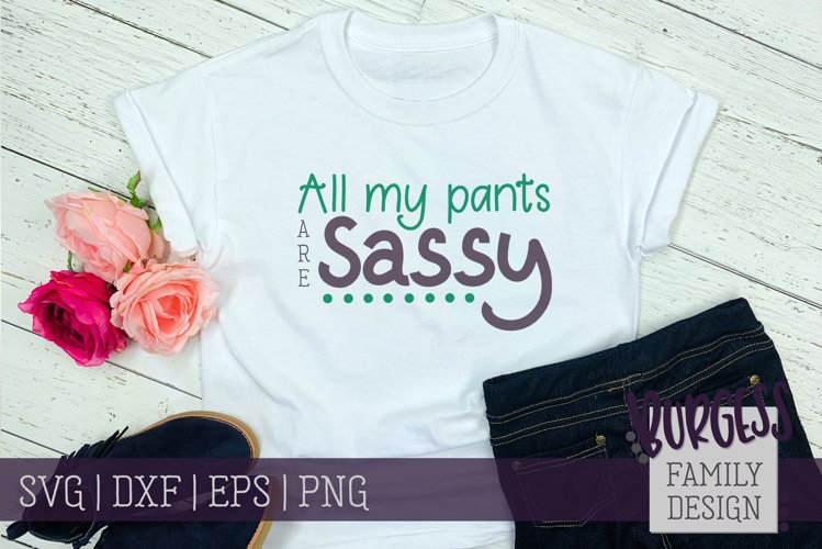 All my pants are sassy | SVG DXF EPS PNG example image 1