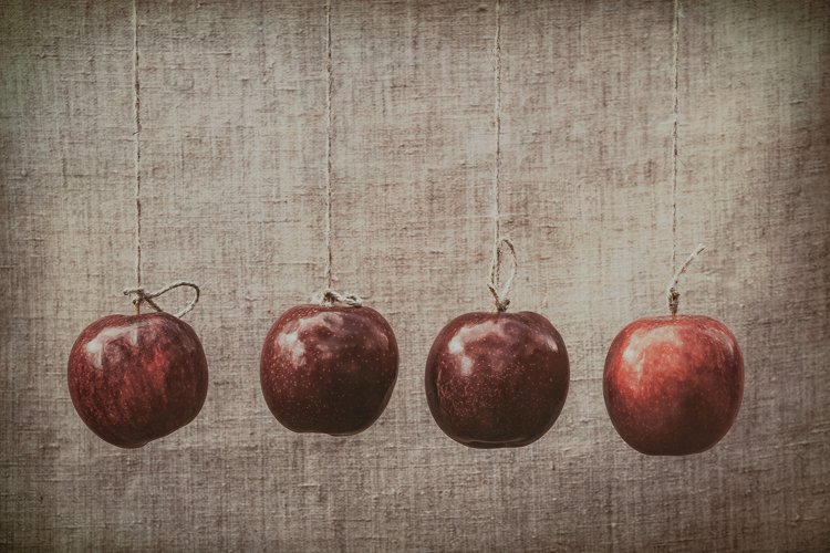 Autumn red apples hung on a linen cloth background