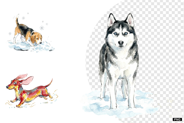 Winter Dog Playing PNG