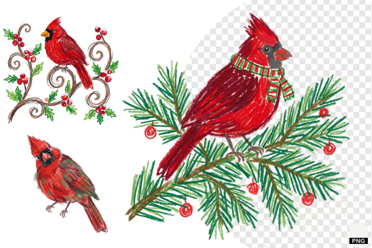 Christmas Cardinal Garden Clipart