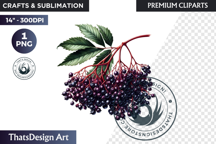 Medicinal Herbs clipart PNG, Apothecary Botanical Graphic