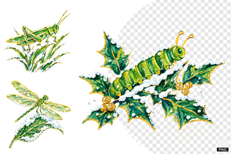 Winter Insect Garden Clipart