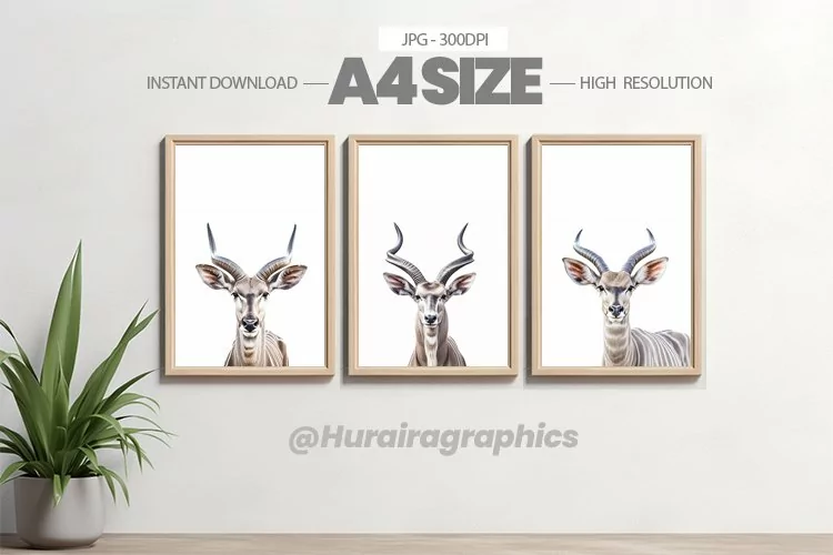Animal Wall Art - 03 Variations