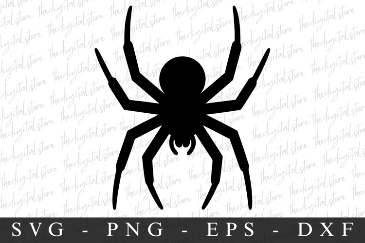 Spider Silhouette Image 10