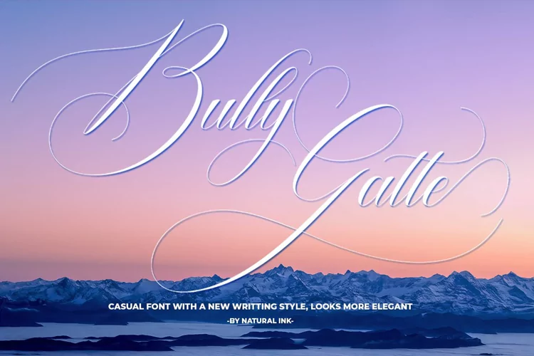 Bully Gatte