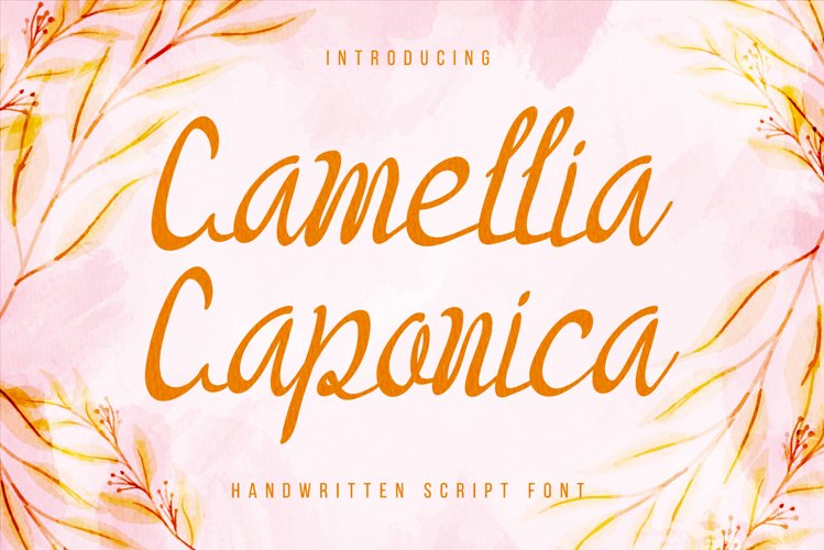 Camellia Caponica - Handwritten calligraphy script font example image 1