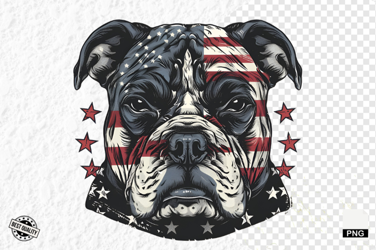Usa PNG Image 18