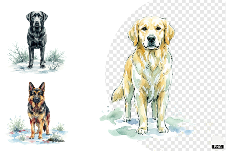 Winter Dog Playing PNG