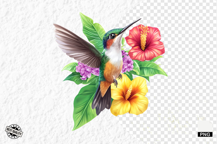 Tropical Birds Clipart - Summer Birds PNG