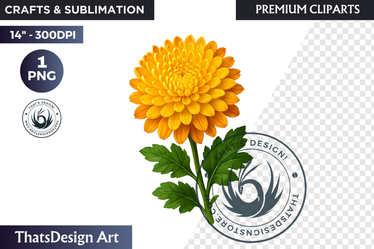 Flower Clipart PNG, Botanical Illustration Floral graphic