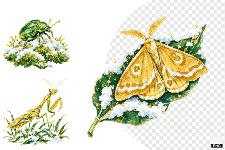 Winter Insect Garden Clipart