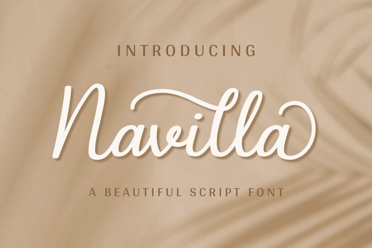 Navilla example image 1