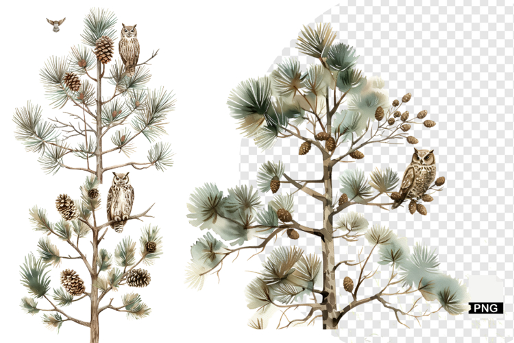 Woodland Clipart Image 9