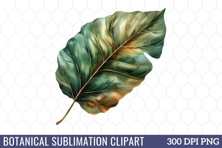 Flower Clipart Image 16