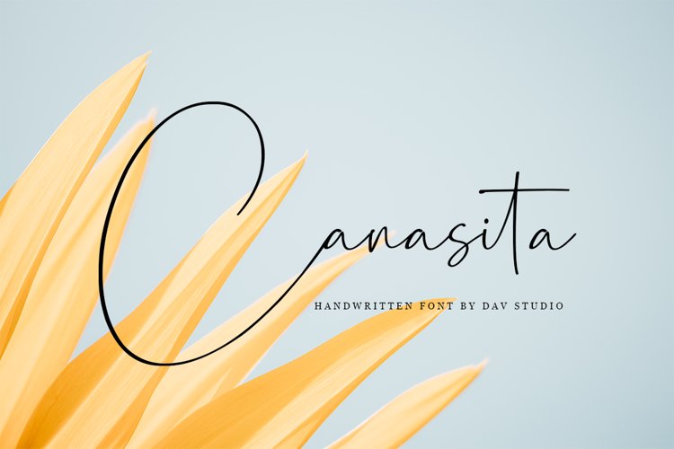 Canasita - Script Handwritten Font example image 1