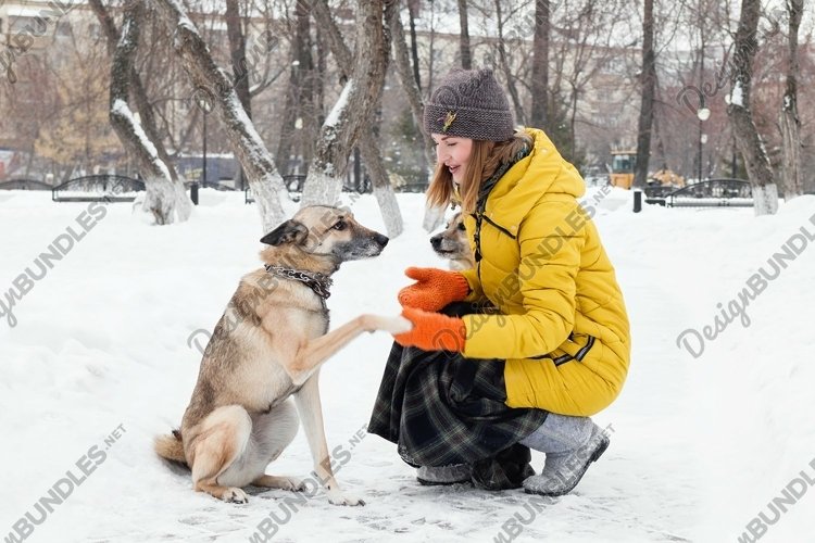 Young woman with her two dogs in a snowy winter park. example image 1